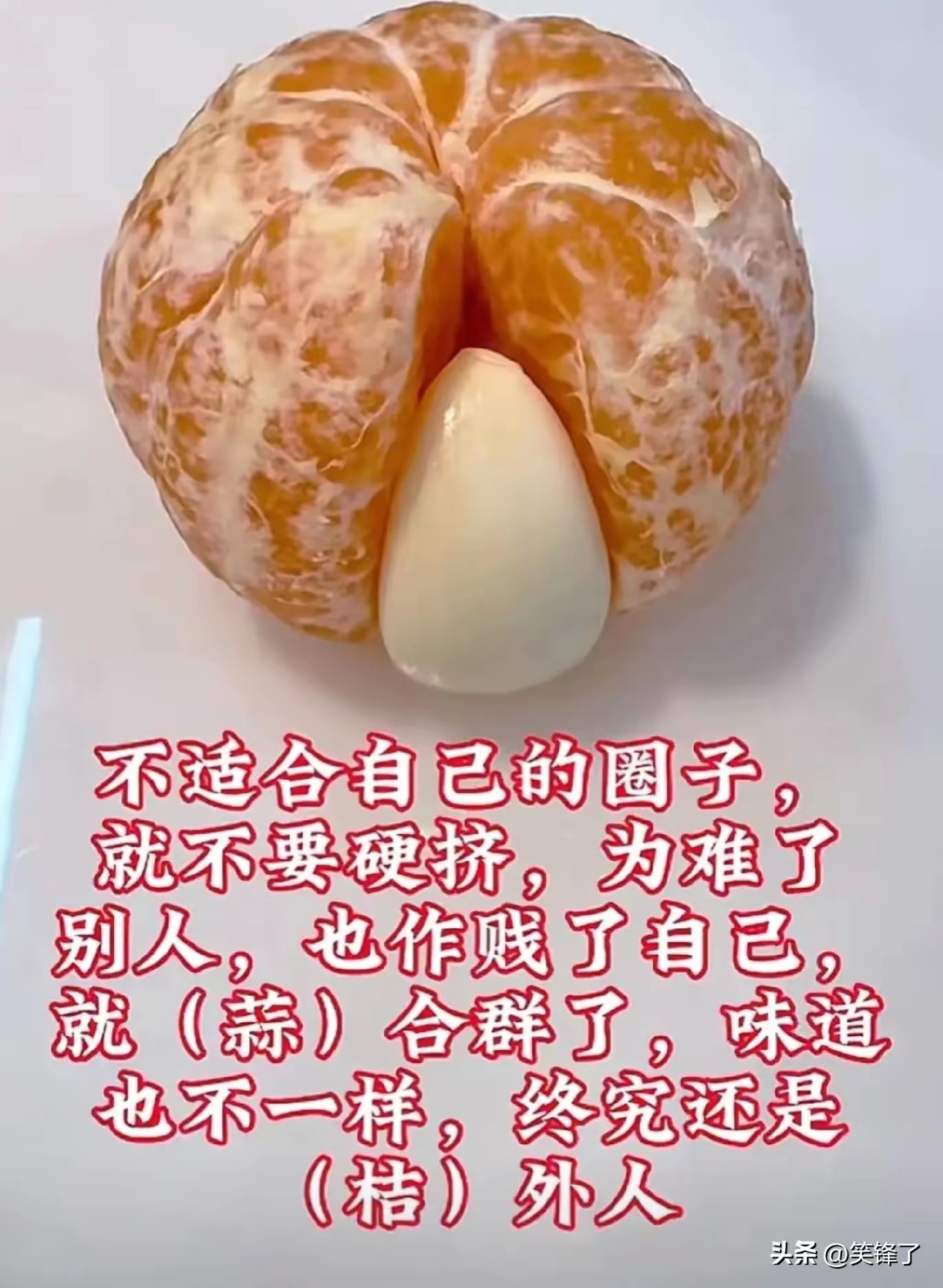 局外人